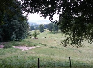 GODEWAERSVELDE - CIRCUIT DE L ABBAYE DU MONT DES CATS-nord