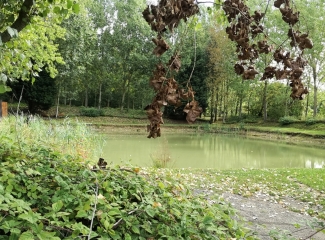 AUBERS - CIRCUIT DU TILLEUL DE JONCQUOY - VERSION LONGUE-nord