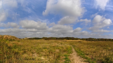 LEFFRINCKOUCKE - DUNE DEWULF-nord