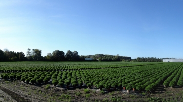 L AIRE MARAICHERE DE ROSENDAEL-nord