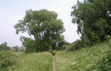 Autour de Halluin-nord