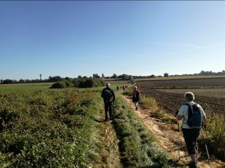 SAINT-SYLVESTRE-CAPPEL - POMME ET COURGETTE 2018 25KM-nord