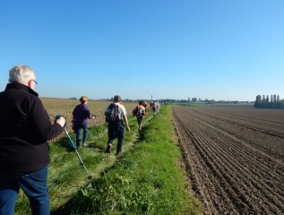 SAINT-SYLVESTRE-CAPPEL - POMME ET COURGETTE 2018 15KM-nord
