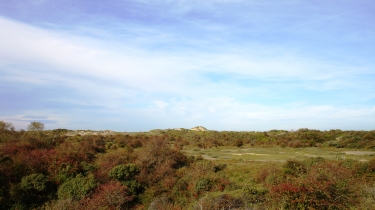 AUTOUR DE BRAY-DUNES-nord