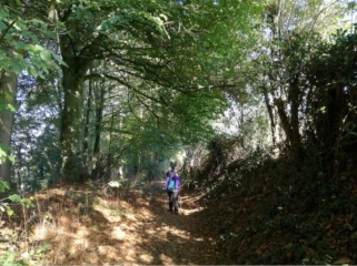 GODEWAERSVELDE - RANDO DE LA ST HUBERT 2018 - 12 KM-nord