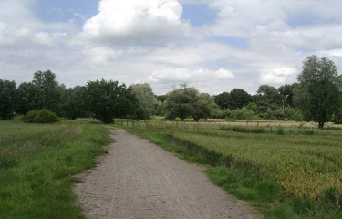 Autour de Bersee-nord