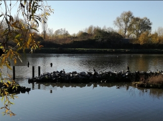 WAMBRECHIES - CIRCUIT DES 3 LOUCHES-nord