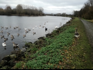 QUESNOY-SUR-DEULE - CIRCUIT DU VERT GALANT-nord