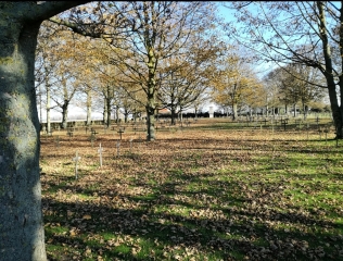 QUESNOY-SUR-DEULE - CIRCUIT DU VERT GALANT-nord