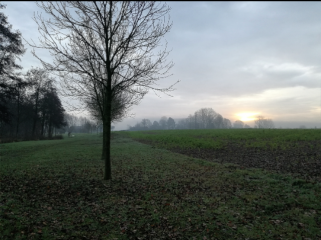 ERQUINGHEM-LE-SEC - CIRCUIT DE FIN DE LA GUERRE-nord