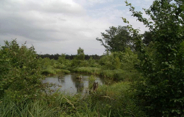 CIRCUIT DE L ABBAYE (MARCHIENNES)-nord