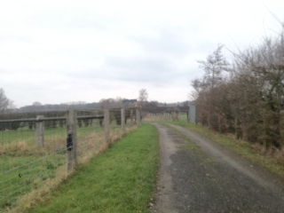 FLETRE - SENTIER DU BOIS GREFFIER-nord