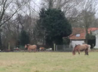 MOUCHIN - CIRCUIT DU RAU DE RUFALUCHE-nord