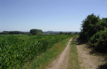 Circuit de Moncheaux.-nord