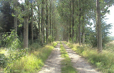 Erquinhem le Sec-nord