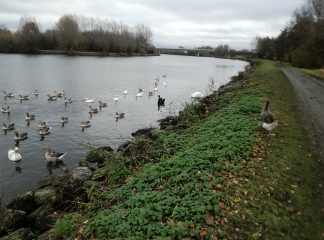 WAMBRECHIES - LA CLE DES CHAMPS-nord