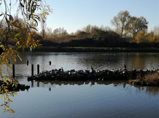 WAMBRECHIES - LA CLE DES CHAMPS-nord