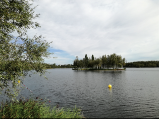 scarpe-escaut - MARCHIENNES - LA SCARPE ET L ETANG DE RIEULAY