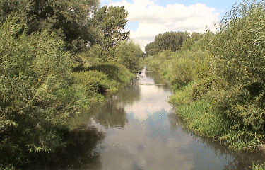 Autour de Bouvines-nord