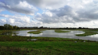 GRAVELINES - PARC DU POLDER-nord