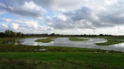 GRAVELINES - PARC DU POLDER-nord