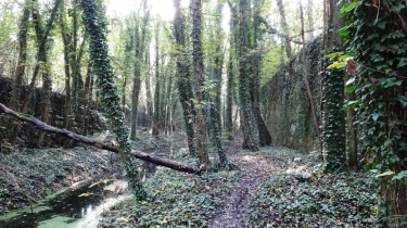 LES FORTIFICATIONS DE BERGUES-nord
