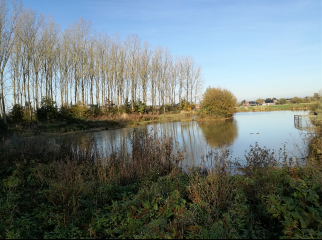 scarpe-escaut - COUTICHES - CIRCUIT DES CHAPELLES - VARIANTE COURTE