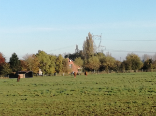 COUTICHES - CIRCUIT DES CHAPELLES - VARIANTE COURTE-nord