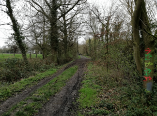 PREMESQUES - CIRCUIT DE LA FLEUR D ECOSSE-nord
