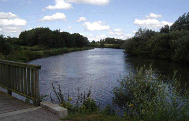 Circuit des tilleuls-nord