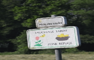 COUSOLRE - LA HAIE DES SAULES