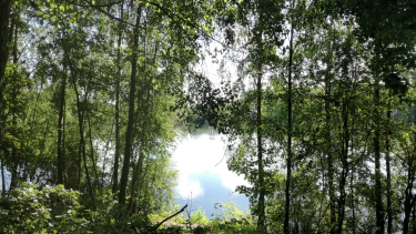 FRELINGHIEN - LES ETANGS DE LA BRIQUETERIE-nord