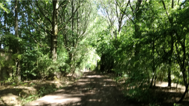 FRELINGHIEN - LES ETANGS DE LA BRIQUETERIE-nord