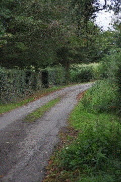 COUSOLRE - LA TASSENIERE-nord