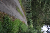 COUSOLRE - LA TASSENIERE-nord