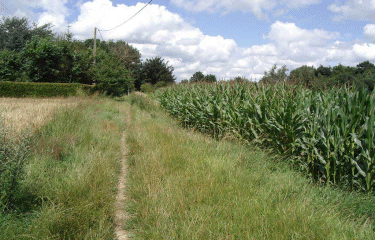 Circuit de la Montagne.-nord