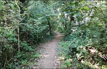 CAESTRE - CIRCUIT DES TROIS VIERGES-nord