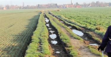 CHEMY - CIRCUIT DE ST CHRISTOPHE-nord