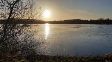 LAC DU HERON - FOREST-SUR-MARQUE-nord