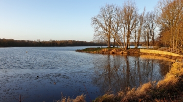 LAC DU HERON - FOREST-SUR-MARQUE-nord