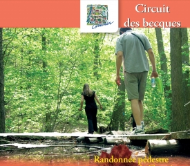 COMINES - CIRCUIT DES BECQUES-nord