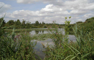 Autour des marais-nord