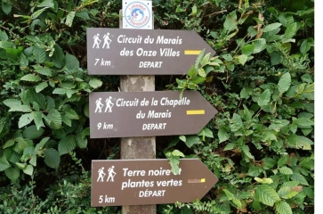 scarpe-escaut - RIEULAY - LES ARGALES