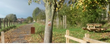 MONS-EN-PEVELE - LA VOIE VERTE-nord