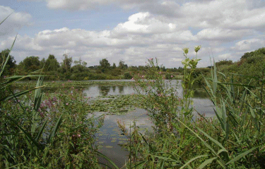 Circuit des Aulx-nord