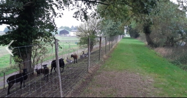 ENGLOS - CIRCUIT DES 3 FETUS-nord