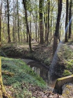 SENTIER DE GOMMEGNIES AUX NERVIENS