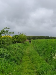 BOCAGE AVESNOIS-nord