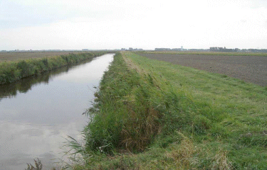 Circuit de la dune fossile-nord