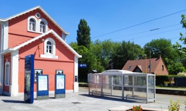 PHALEMPIN - BALADE EN FORET-nord